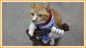 ギターを弾く猫？