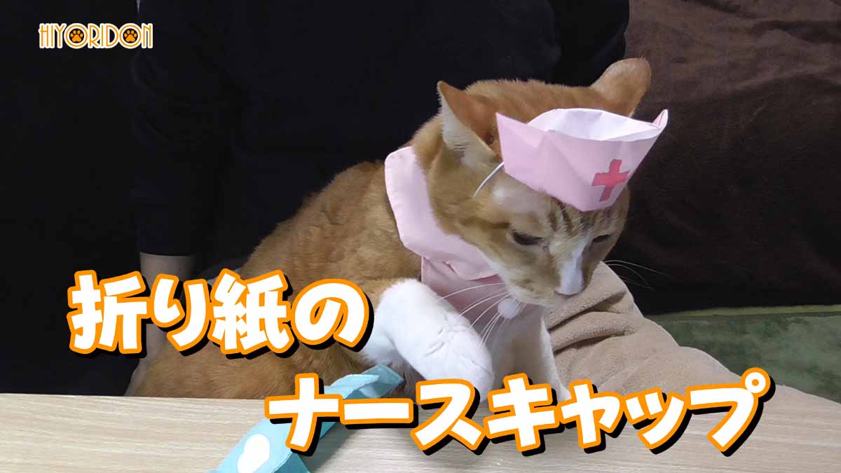 折り紙で作る猫用ナースキャップ